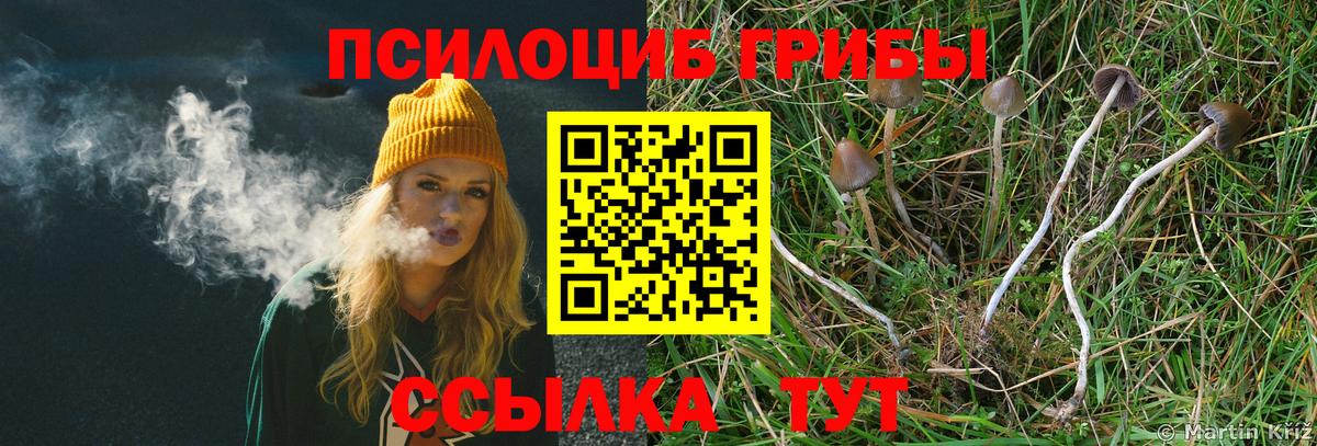 дарнет шоп  Вход с VPN  Гусиноозёрск  Галлюциногенные грибы Magic Shrooms 