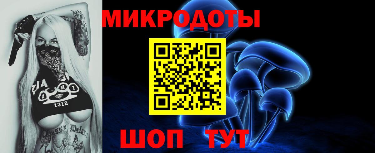 Псилоцибиновые грибы мицелий Гусиноозёрск
